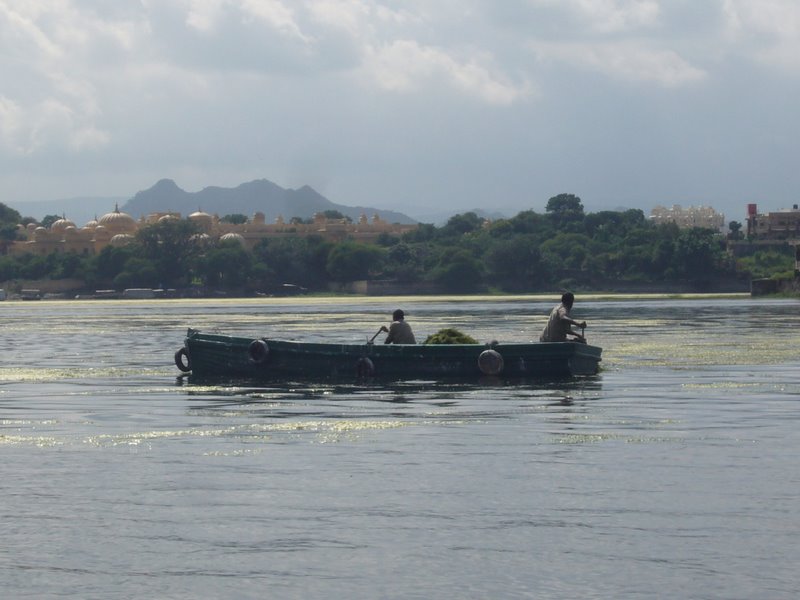 Travel - India - Rajasthan - Udaipur - Pichola Lake
